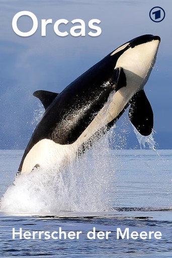 Orcas - Herrscher der Meere (2024) poster