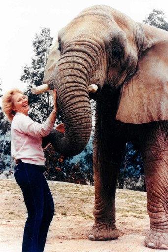 I Talk to Animals (1990) poster