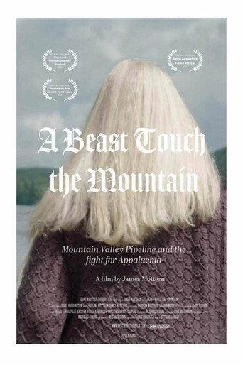 A Beast Touch the Mountain (2025) poster