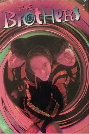 The Brothers: Fact & Reality... The Video (1994) poster