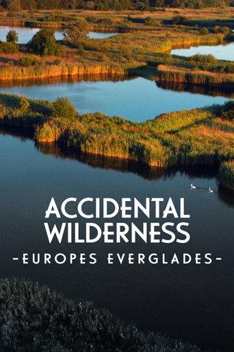 The Accidental Wilderness: Europe's Everglades (2021) poster