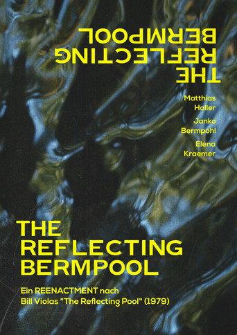 The Reflecting Bermpool () poster
