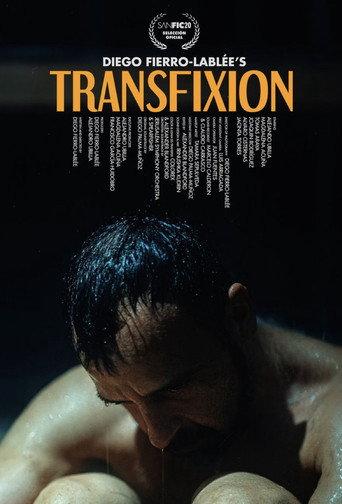 Transfixion () poster