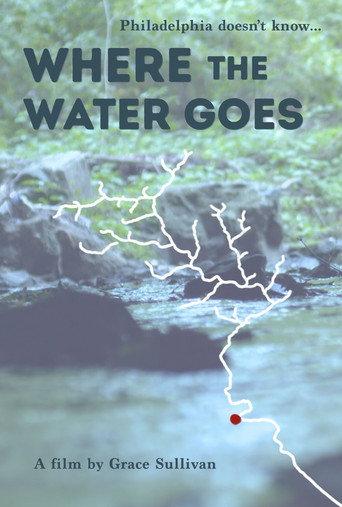 Where the Water Goes () poster
