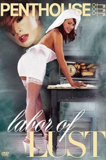 Penthouse: Labor of lust (2004) poster