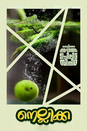 Nellikka (2015) poster