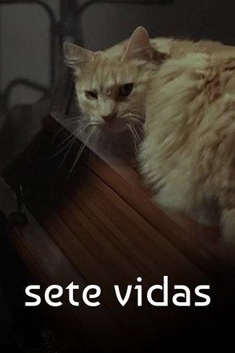 Sete Vidas (2007) poster