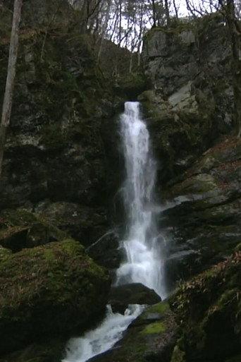 Falling Water, Scattered Scenery (2010) poster