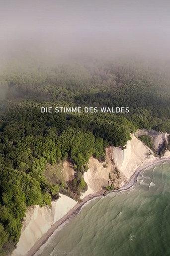 Die Stimme des Waldes (2025) poster