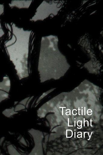 Tactile Light Diary (2025) poster