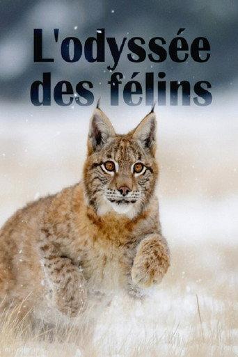 The Odyssey Of Felines (2015) poster