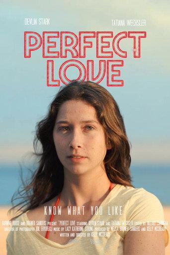 Perfect Love (2026) poster