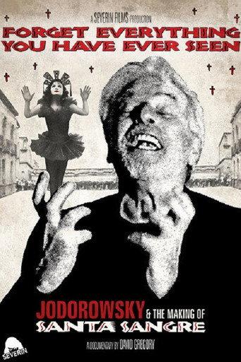 Forget Everything You Have Ever Seen: The World of Santa Sangre (2011) poster