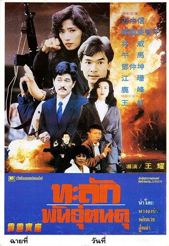 Raiders of Losing Treasure (1992) poster
