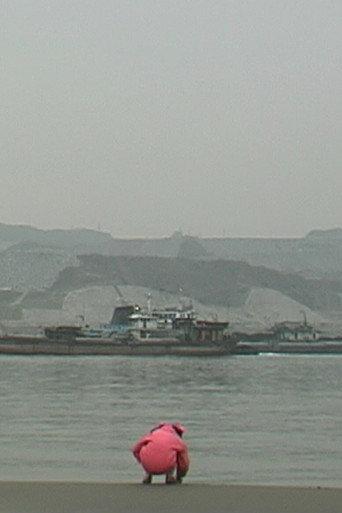 The Dreams of Yangtze (1998) poster
