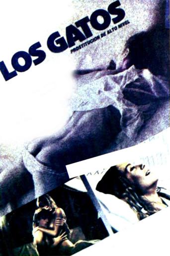 High Class Affair (1985) poster