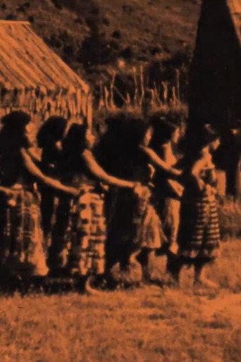 Maori Days (1934) poster