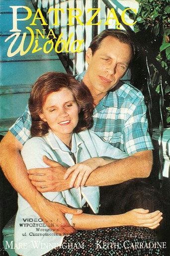 Eye on the Sparrow (1987) poster