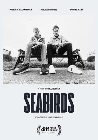 Seabirds (2025) poster