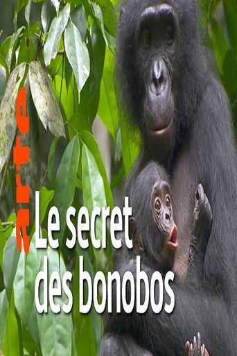 La vie cachée des bonobos (2019) poster