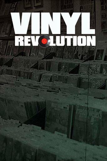 Vinyl Revolution () poster