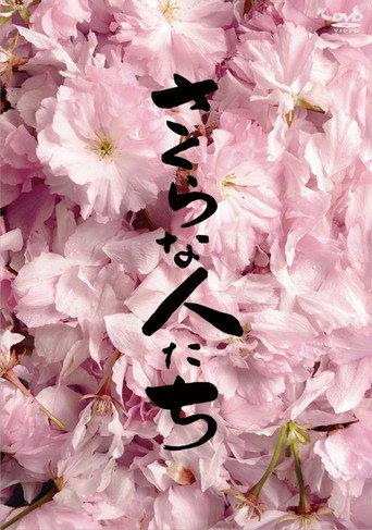 Looking for Cherry Blossoms (2009) poster