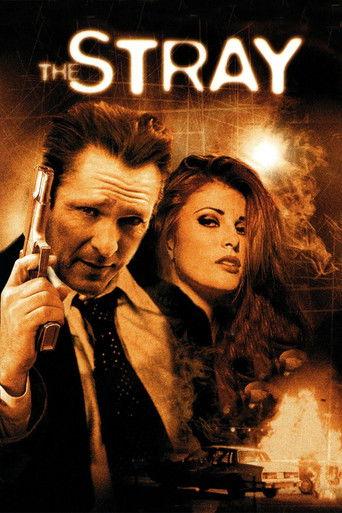 The Stray (2000) poster