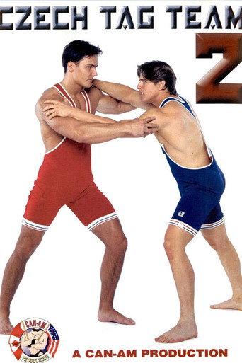 Czech Tag Team 2 (2001) poster
