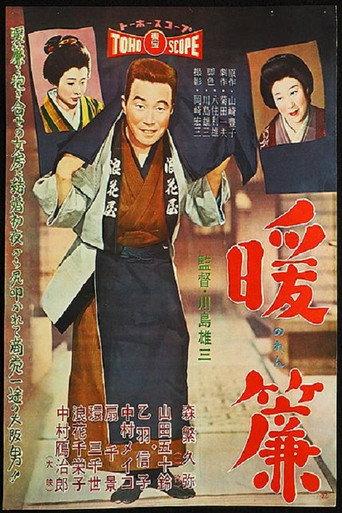 The Shop Curtain (1958) poster