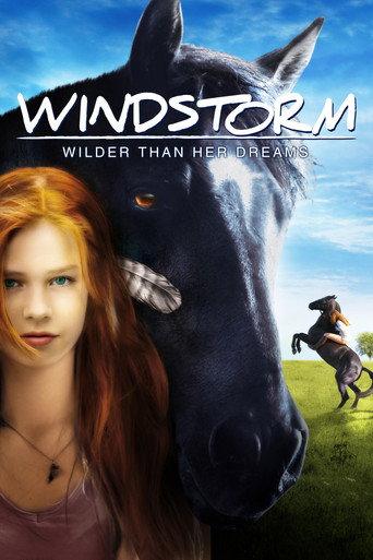 Windstorm (2013) poster
