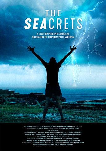 The Seacrets () poster