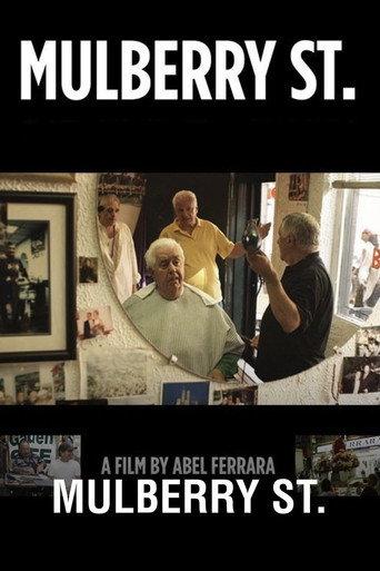 Mulberry St. (2010) poster