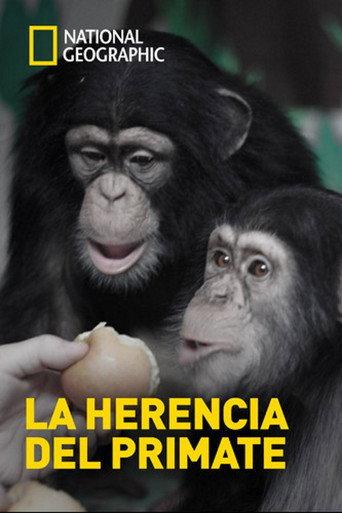 The Human Ape (2009) poster