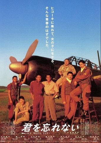 Fly Boys, Fly! (1995) poster