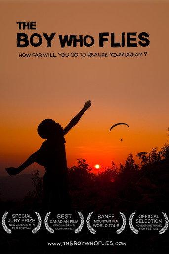 The Boy Who Flies (2013) poster