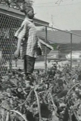 Imported (1999) poster
