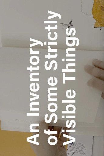 An Inventory of Some Strictly Visible Things (2017) poster