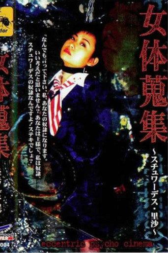 Female Body Collection: Stewardess Risa (1998) poster