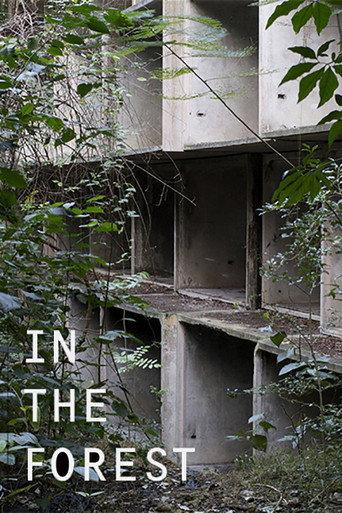 in the forest (2017) poster
