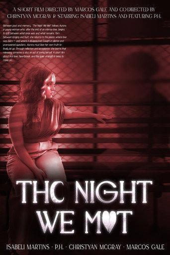 The Night We Met (2025) poster