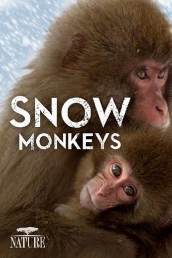 Wild Japan: Snow Monkeys (2014) poster
