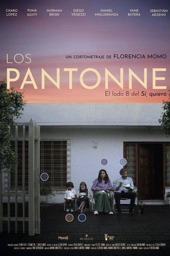 The Pantonne (2025) poster