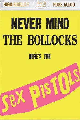 Sex Pistols: Never Mind The Bollocks Here's The Sex Pistols (2013) poster
