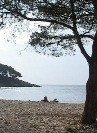 A Day (2010) poster
