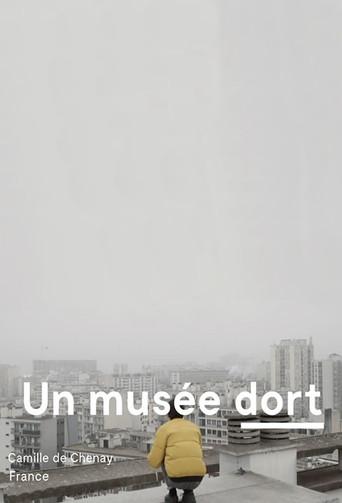 A Museum Sleeps (2020) poster