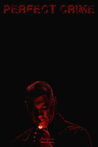 Perfect Crime () poster