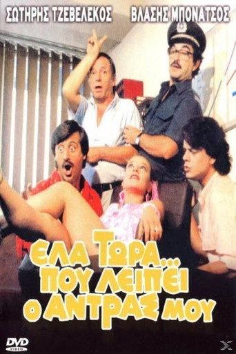 Come Now That My Husband Is Missing (1986) poster