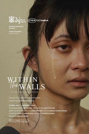Within the Walls () poster