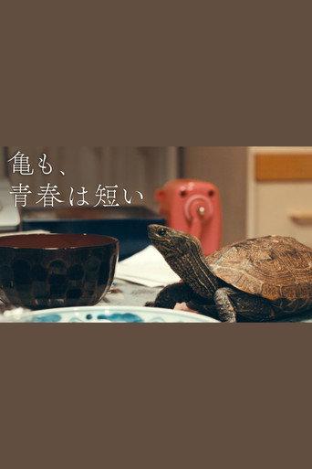 亀も、青春は短い (2023) poster