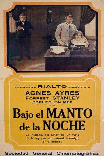 Into the Night (1928) poster